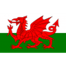 Wales U19-Logo