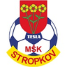 MSK Tesla Stropkov-Logo