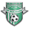 Dukagjini-Logo