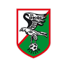 Sokół Kleczew-Logo