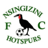 Nsingizini Hotspurs-Logo