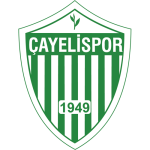 Çayelispor-Logo