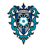 Avispa Fukuoka-Logo