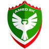 Amed-Logo