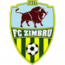 Zimbru-Logo