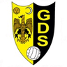 Sourense-Logo