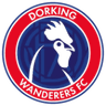 Dorking Wanderers-Logo