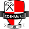 Cobham-Logo