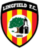 Lingfield-Logo