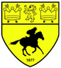 Newmarket Town-Logo