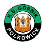 Górnik Polkowice-Logo