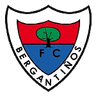 Bergantiños-Logo